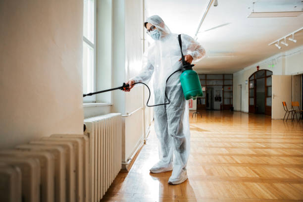 Reliable Lansdowne, PA Pest Control Solutions